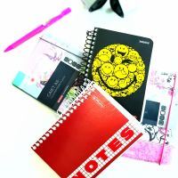 Caiete de birou.Notesuri