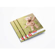 Caiet A5 48 file patratele, motiv Teddy 9480710