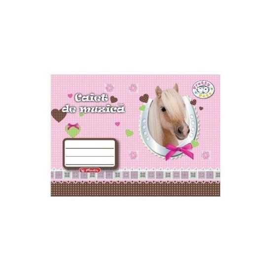 Caiet muzica 24 file Herlitz 9478450