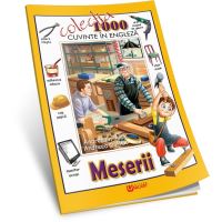 Colectia 1000 de cuvinte engleza - Meserii