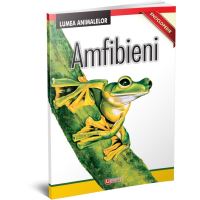 Enciclopedie - Ambifieni - Lumea Animalelor