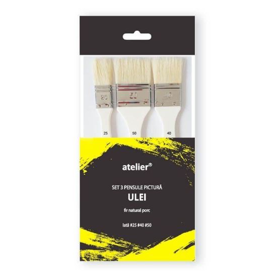 Set 3 pensule pictura bidinea par porc AT20010