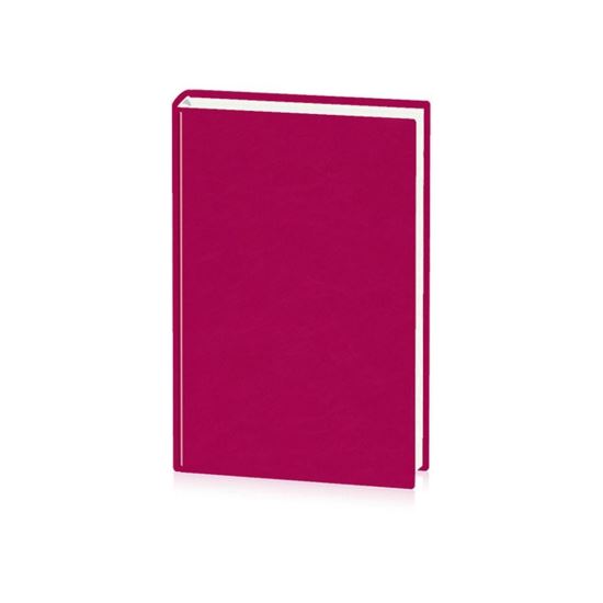 Agendă nedatată  2022 DOMINO IS4 bordo