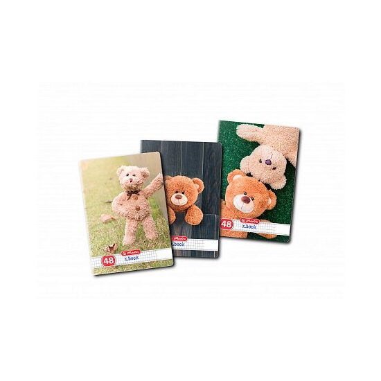 Caiet A5 48 file patratele, motiv Teddy 9480710