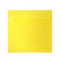 Plic 14X14  Cm Patrat Color Siliconic   PC1414G