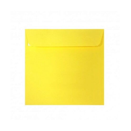 Plic 14X14  Cm Patrat Color Siliconic   PC1414G