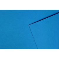 Carton color 70x100cm 270g albastru 10 Coli  