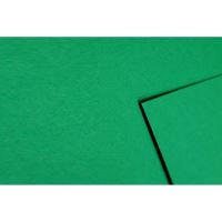 Carton color 70x100cm 270g verde Craciun 10 Coli  