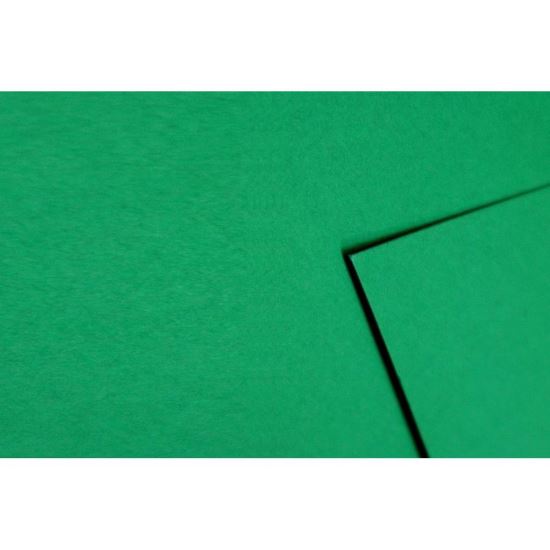 Carton color 70x100cm 270g verde Craciun 10 Coli  