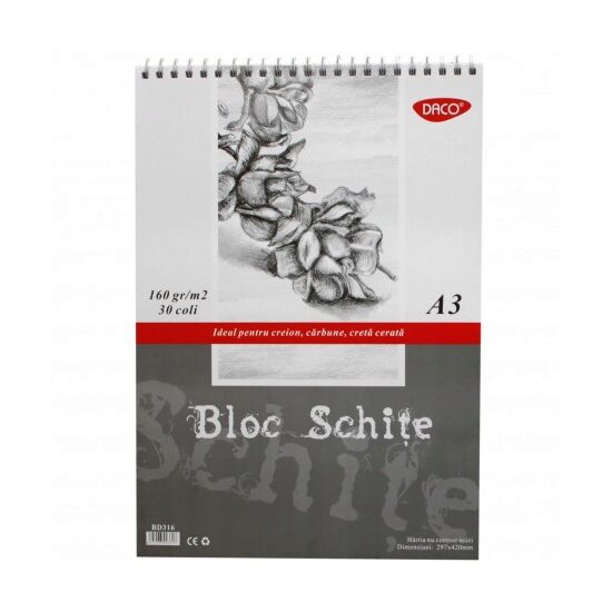 Bloc A3 Schite 160gr  30 File   BD316