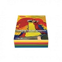 Carton Color 160g/mp CN162 A4 250 coli 10 culori